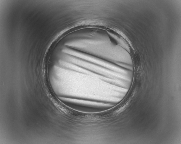 X0000082990981200702160019