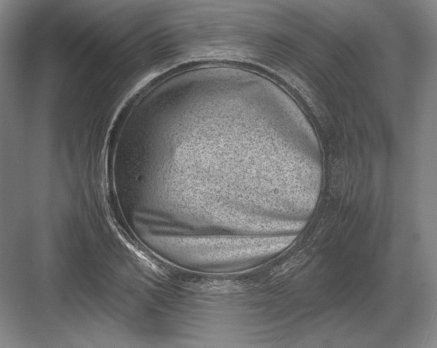 X0000082990982200702160019