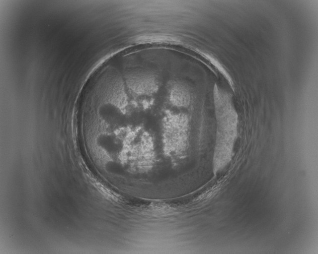 X0000082990983200702160019