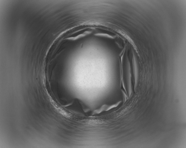 X0000082990984200702160019