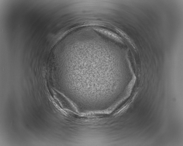 X0000082990985200702160019