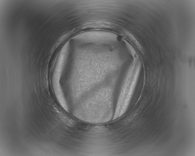 X0000082990986200702160019