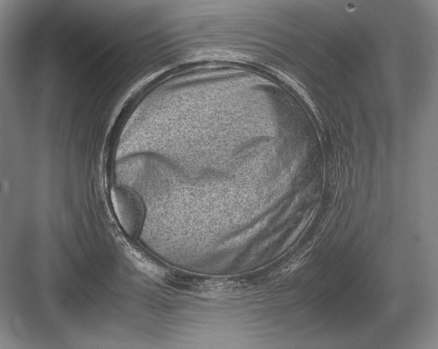 X0000082990987200702160019