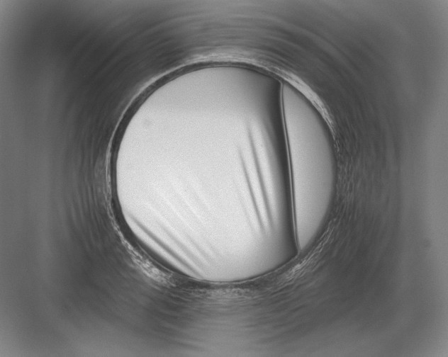 X0000082990988200702160019