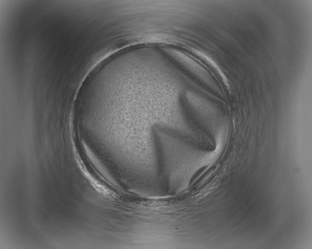 X0000082990991200702160019