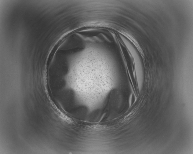 X0000082990992200702160019