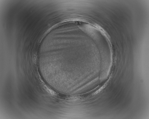 X0000082990993200702160019