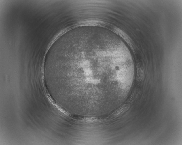 X0000082990994200702160019