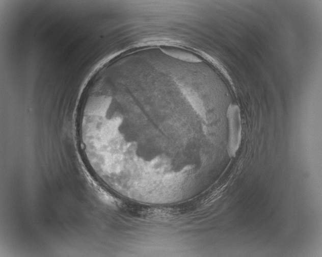 X0000082990995200702160019