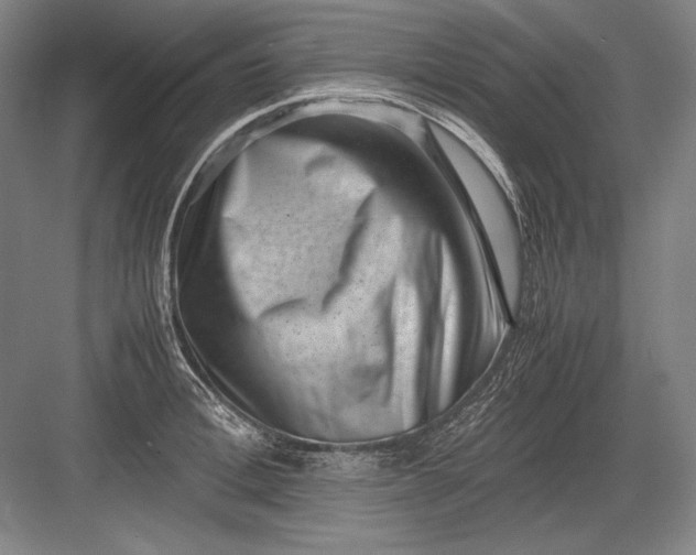 X0000082990996200702160019