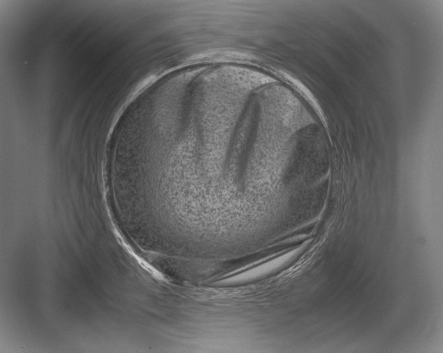 X0000082990997200702160019