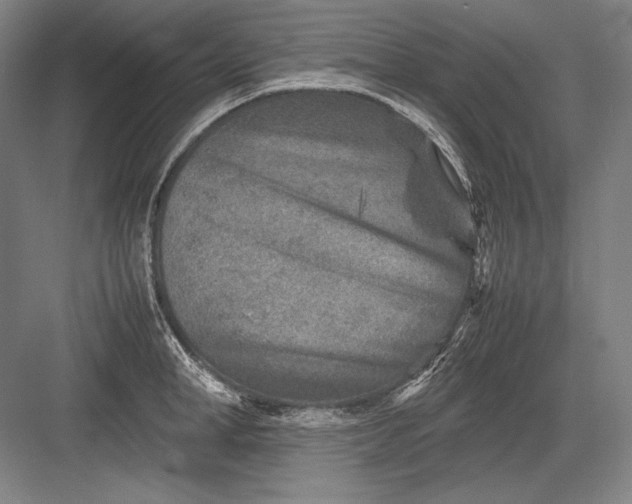 X0000082990998200702160019