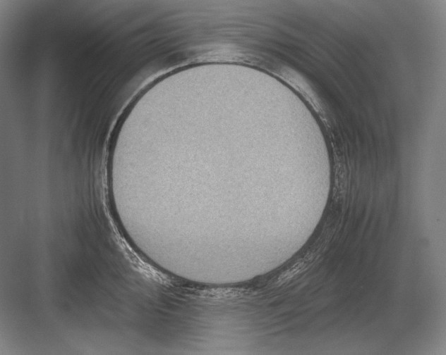 X0000082991000200702160019