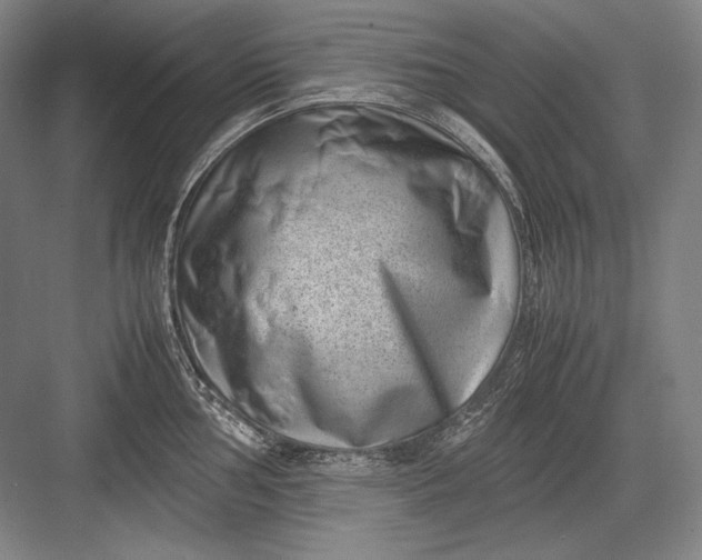 X0000082991002200702160019