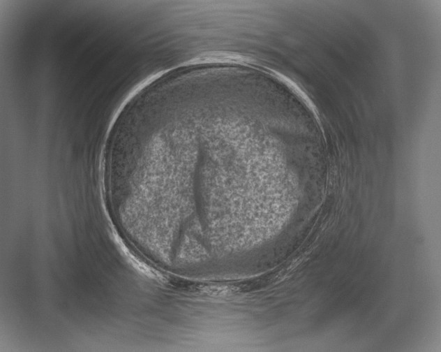 X0000082991003200702160019