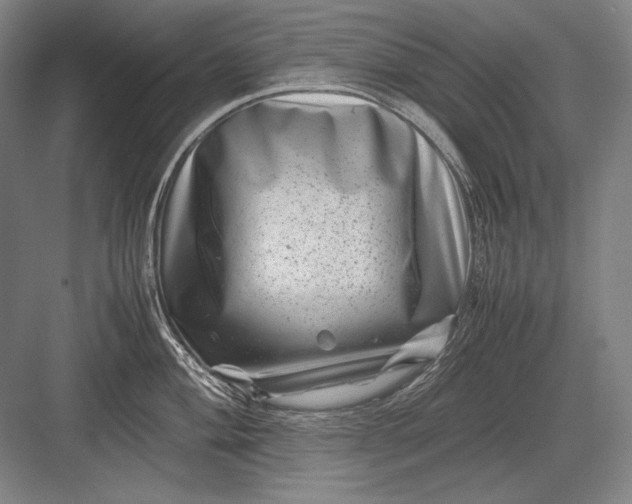 X0000082991004200702160019