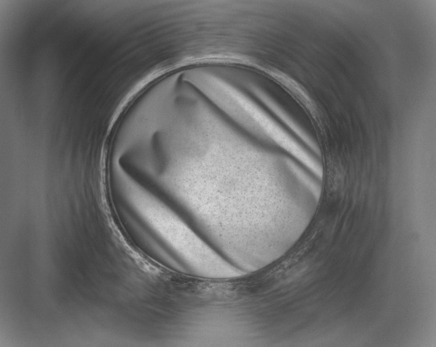 X0000082991006200702160019