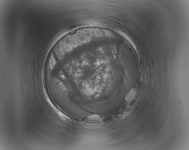 X0000082991007200702160019