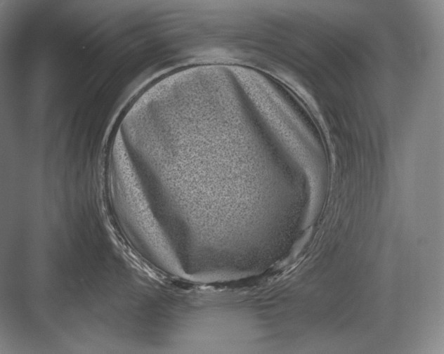 X0000082991008200702160019