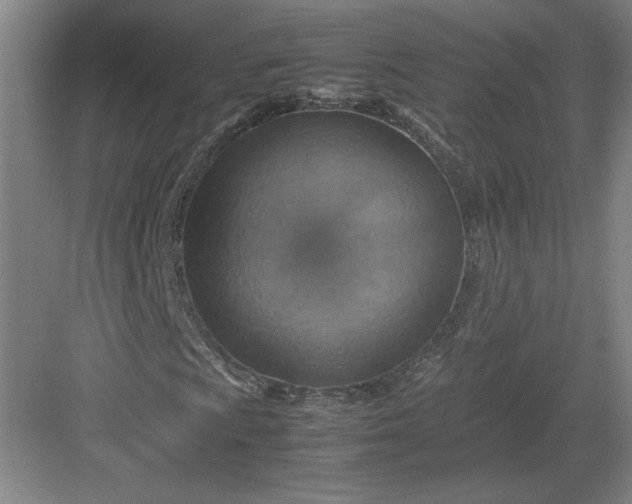 X0000082991009200702160018