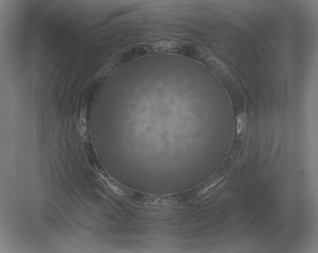 X0000082991011200702160018