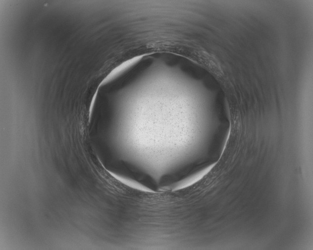 X0000082991012200702160018