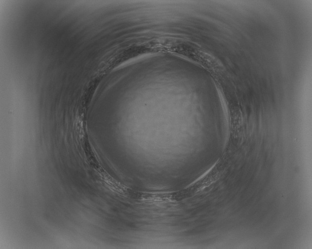 X0000082991013200702160018