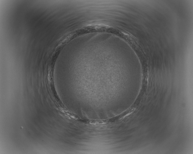 X0000082991014200702160018