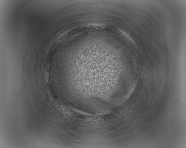 X0000082991015200702160018