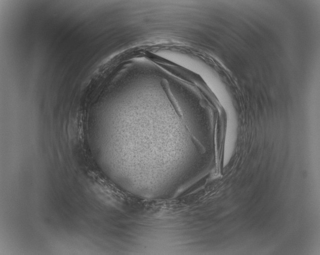 X0000082991016200702160018