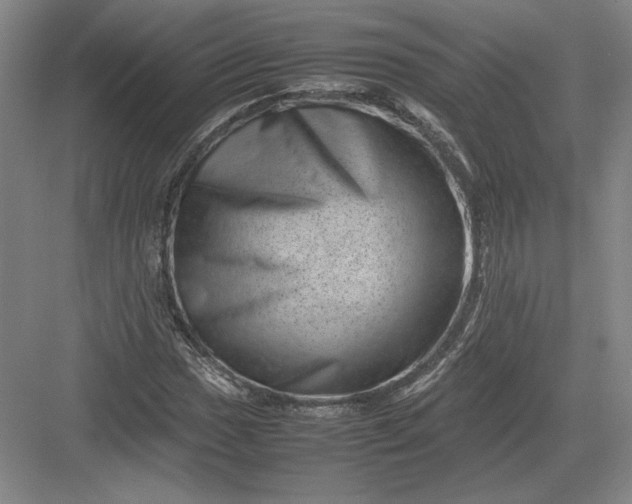 X0000082991017200702160018