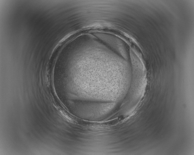 X0000082991018200702160018