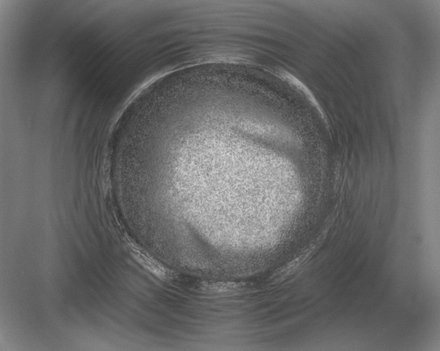 X0000082991019200702160018