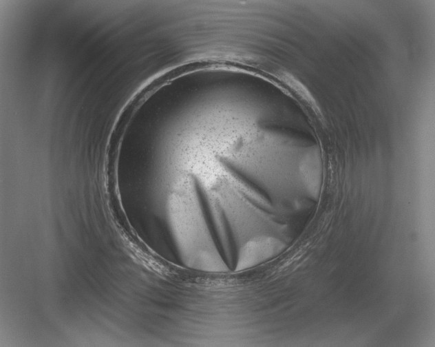 X0000082991020200702160018