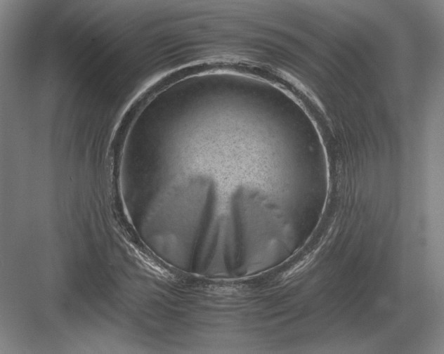 X0000082991021200702160018