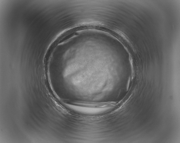 X0000082991022200702160018