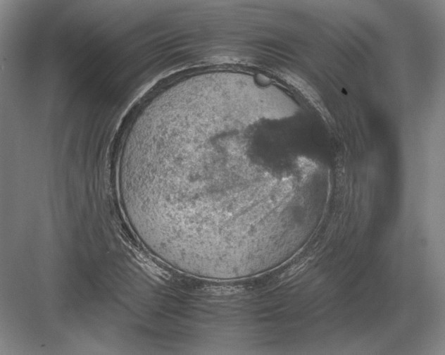 X0000082991023200702160018