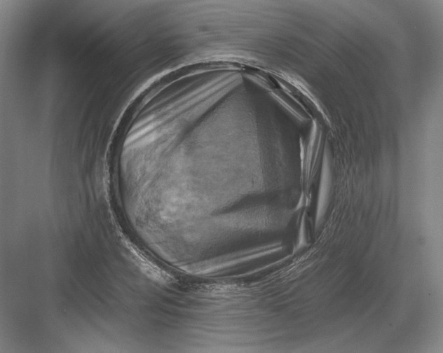 X0000082991024200702160018