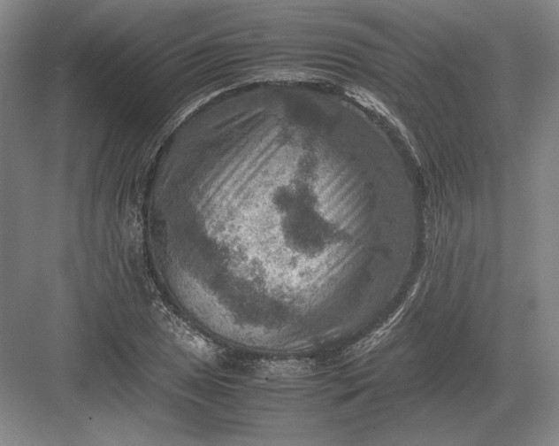 X0000082991025200702160018