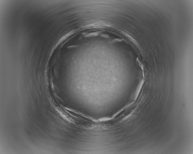 X0000082991026200702160018