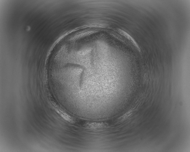 X0000082991027200702160018