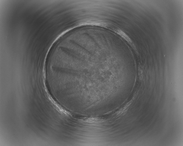 X0000082991028200702160018