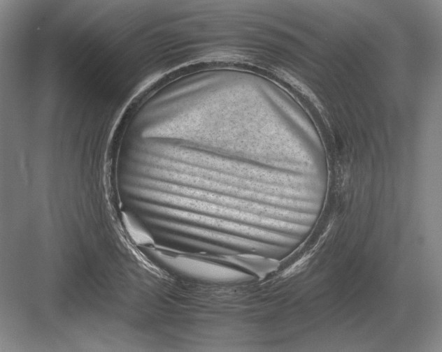 X0000082991029200702160018