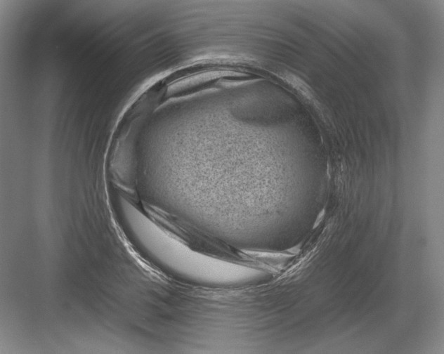 X0000082991030200702160018