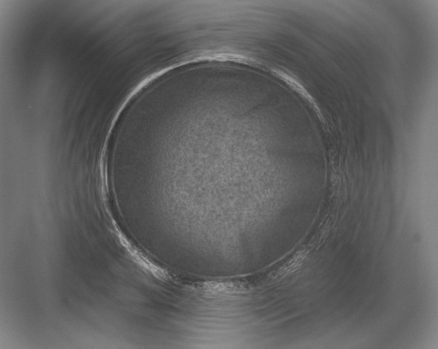 X0000082991032200702160018