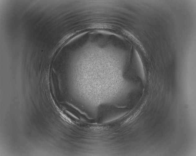 X0000082991033200702160018