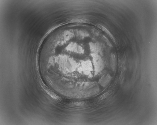 X0000082991035200702160018