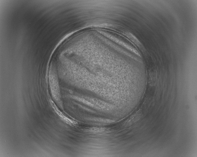 X0000082991036200702160018