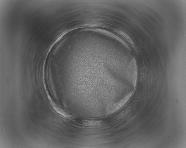 X0000082991039200702160018