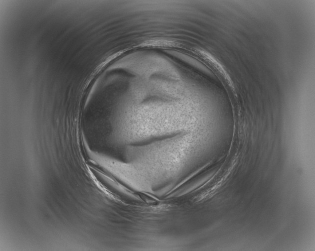 X0000082991041200702160018